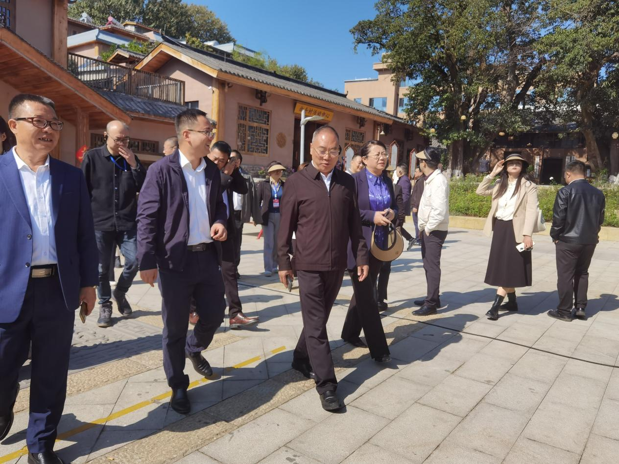 全省文化旅游融合示范項目工作總結(jié)交流會代表團(tuán)考察學(xué)習(xí)大石板項目(圖7)