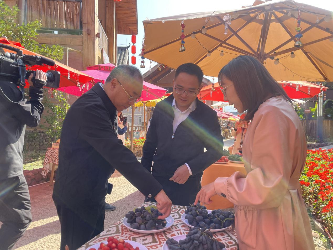 全省文化旅游融合示范項目工作總結(jié)交流會代表團(tuán)考察學(xué)習(xí)大石板項目(圖8)