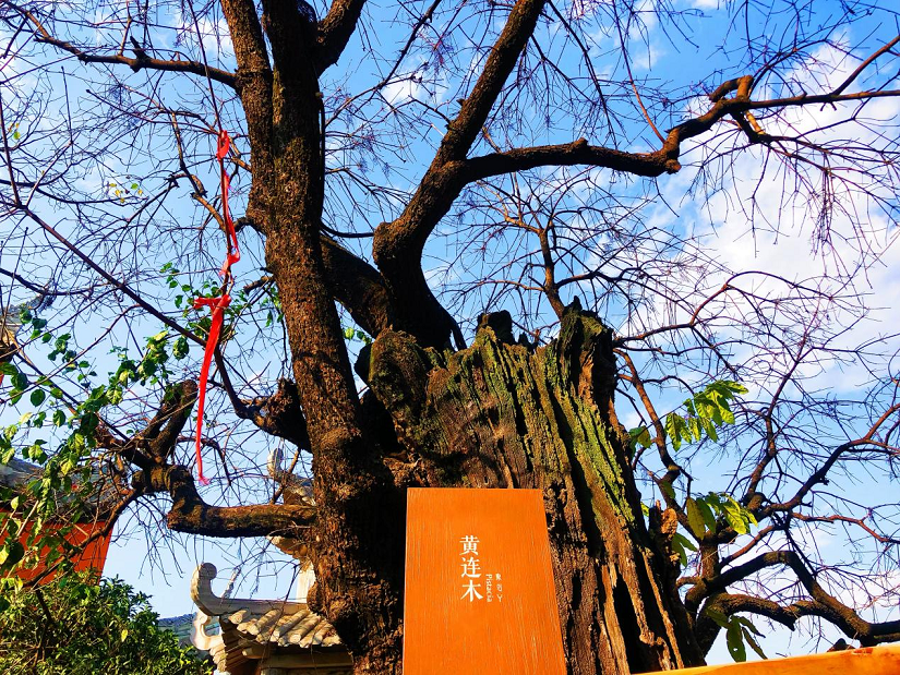 大石板古村：保護(hù)利用讓歷史文化“活”起來 ——全省城鄉(xiāng)建設(shè)歷史文化保護(hù)利用工作現(xiàn)場會(huì)在西昌大石板古村召開(圖3)