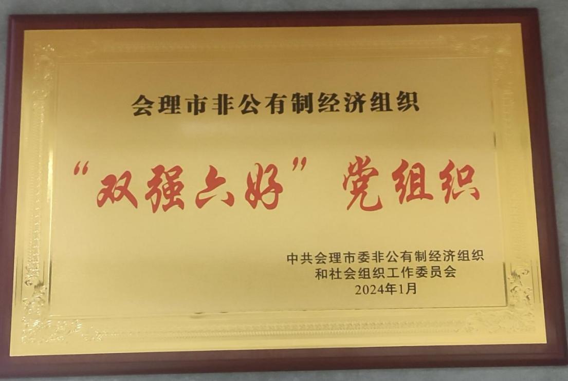 喜訊！礦業(yè)總公司財通公司黨支部榮獲會理市“雙強六好”黨組織稱號