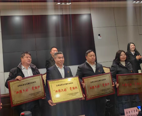 喜訊！礦業(yè)總公司財(cái)通公司黨支部榮獲會(huì)理市“雙強(qiáng)六好”黨組織稱號(hào)(圖2)