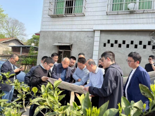 簡陽市委市政府全力推進(jìn)葫蘆壩鄉(xiāng)村振興項(xiàng)目 (圖2) 簡陽市委市政府全力推進(jìn)葫蘆壩鄉(xiāng)村振興項(xiàng)目 (圖2)